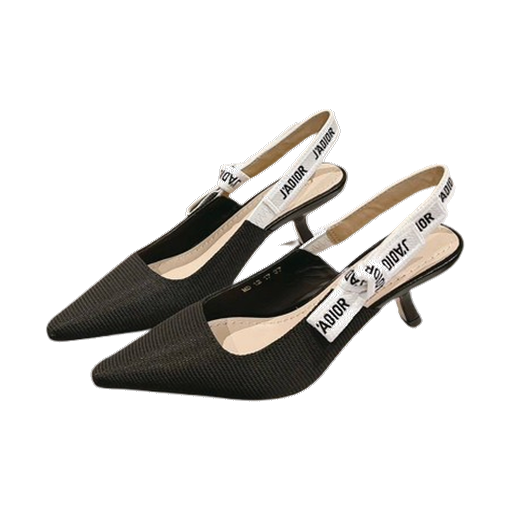Dior Shoes